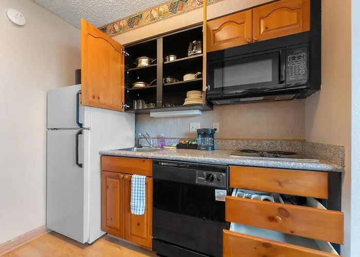 Apartment 1 Bd 1 Ba Furnished Apt With King Bed *