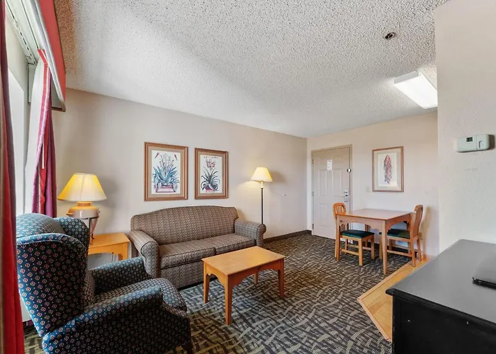 1 Bd 1 Ba Furnished Apt With King Bed Apartment Scottsdale