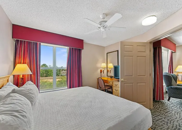 1 Bd 1 Ba Furnished Apt With King Bed * Scottsdale