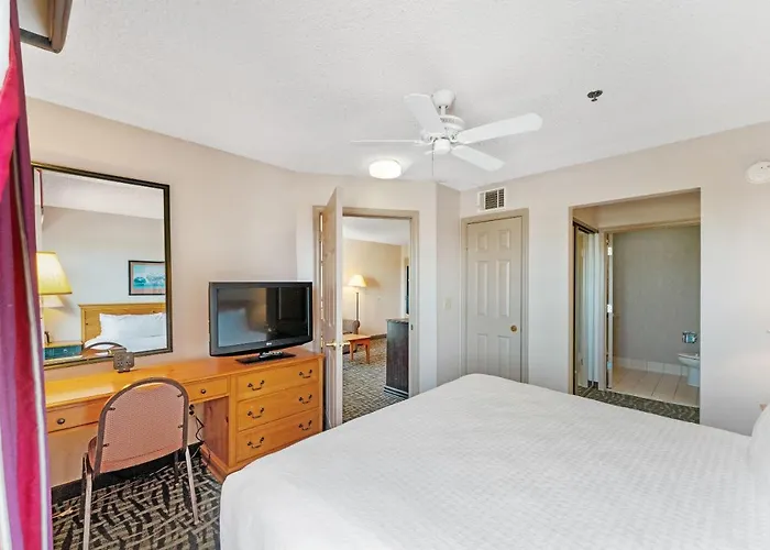 1 Bd 1 Ba Furnished Apt With King Bed Apartment *