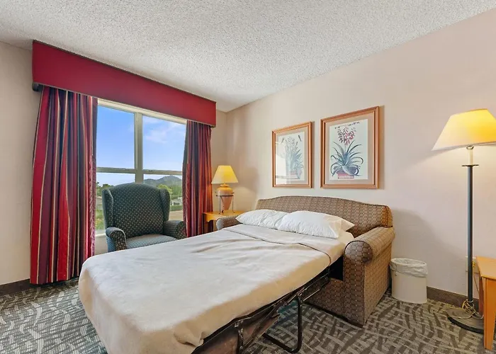 1 Bd 1 Ba Furnished Apt With King Bed Apartment *