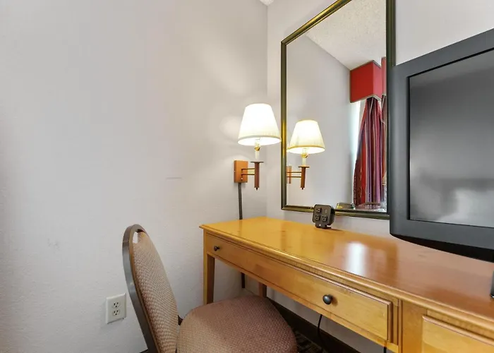 1 Bd 1 Ba Furnished Apt With King Bed Apartment Scottsdale
