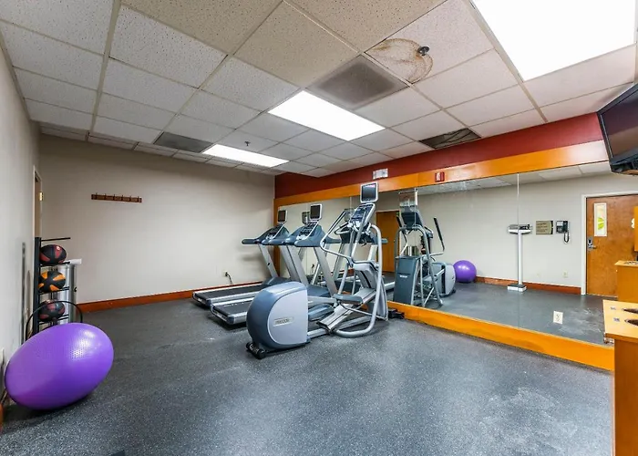 1 Bd 1 Ba Furnished Apt With King Bed *