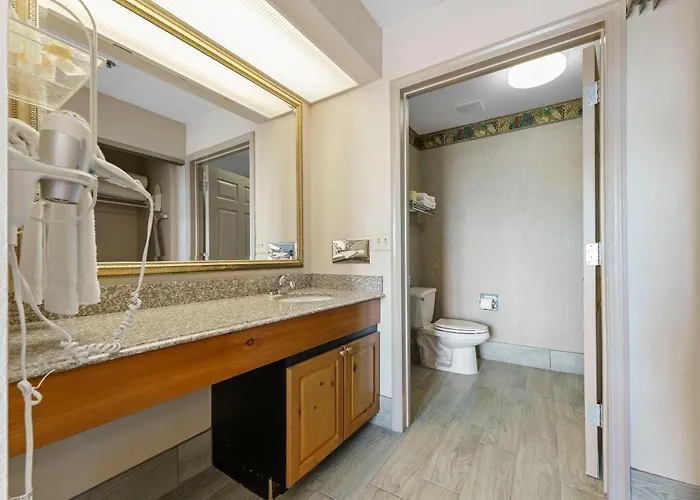 1 Bd 1 Ba Furnished Apt With King Bed * Scottsdale